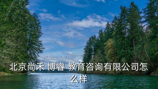 博睿教育集團董事長,睿博教育培訓機構(gòu)