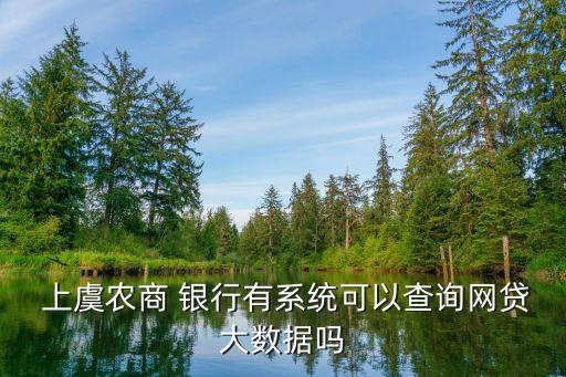  上虞農商 銀行有系統(tǒng)可以查詢網(wǎng)貸大數(shù)據(jù)嗎