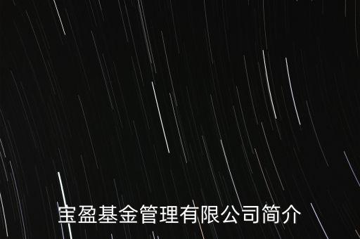 寶盈基金管理有限公司簡(jiǎn)介