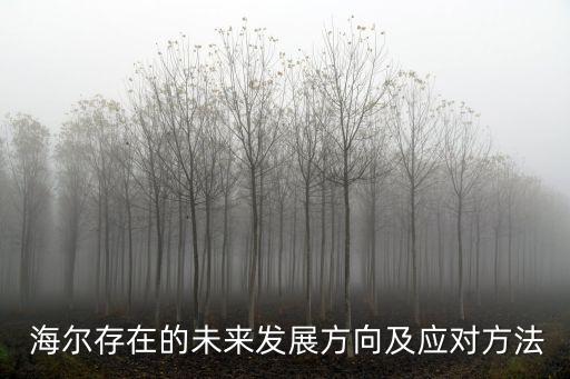  海爾存在的未來發(fā)展方向及應對方法