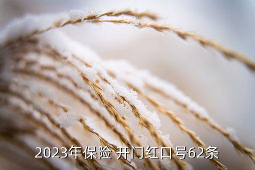 2023年保險 開門紅口號62條