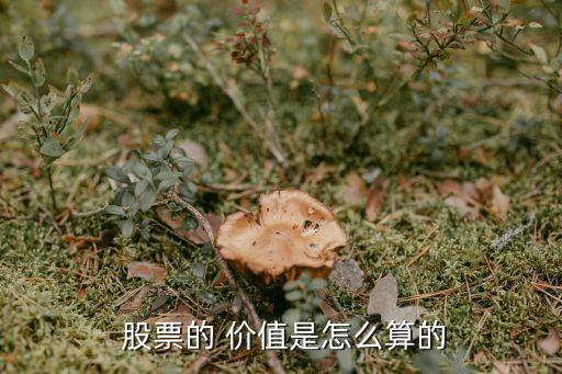  股票的 價(jià)值是怎么算的