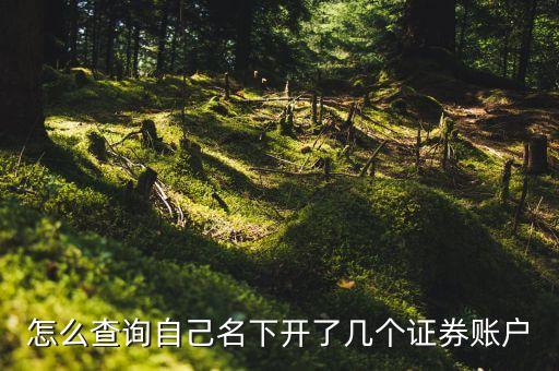 怎么查詢自己名下開了幾個(gè)證券賬戶