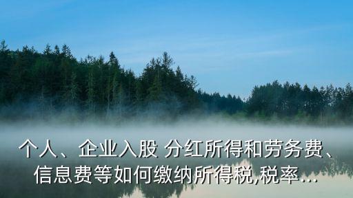 個(gè)人、企業(yè)入股 分紅所得和勞務(wù)費(fèi)、信息費(fèi)等如何繳納所得稅,稅率...