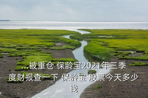 ...被重倉 保齡寶2021年三季度財報查一下 保齡寶 股票今天多少錢