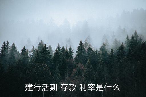 建行活期 存款 利率是什么