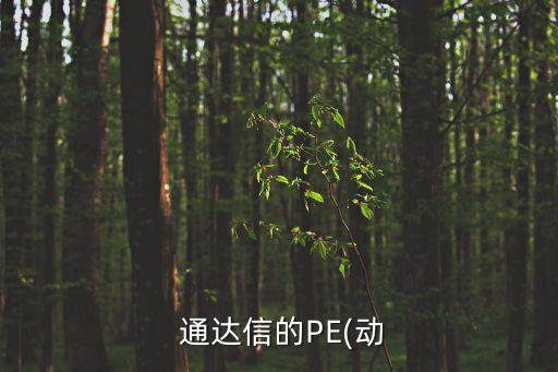  通達信的PE(動