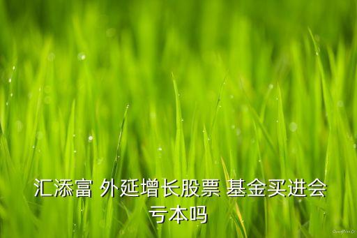  匯添富 外延增長(zhǎng)股票 基金買(mǎi)進(jìn)會(huì)虧本嗎