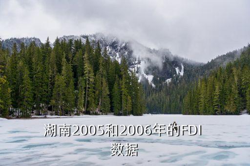 湖南2005和2006年的FDI 數(shù)據(jù)