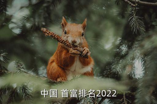 中國 首富排名2022