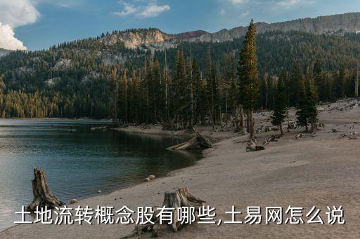 土地流轉(zhuǎn)概念股有哪些,土易網(wǎng)怎么說