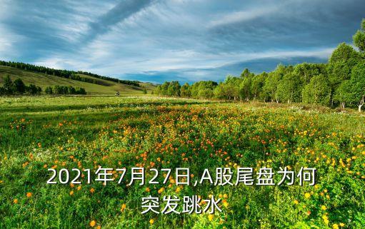 2021年7月27日,A股尾盤為何突發(fā)跳水