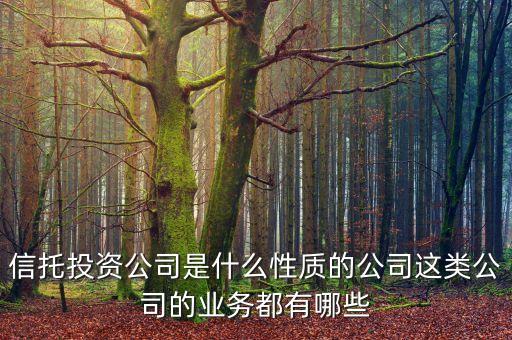 信托投資公司是什么性質(zhì)的公司這類(lèi)公司的業(yè)務(wù)都有哪些