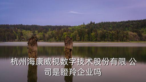  杭州?？低晹?shù)字技術(shù)股份有限 公司是瞪羚企業(yè)嗎