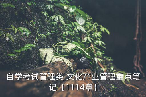 自學(xué)考試管理類 文化產(chǎn)業(yè)管理重點(diǎn)筆記【1114章】