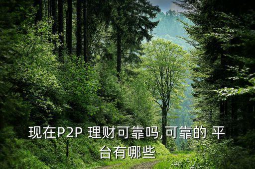 現(xiàn)在P2P 理財(cái)可靠嗎,可靠的 平臺(tái)有哪些