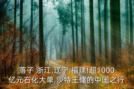 落子 浙江,遼寧,福建!超1000億元石化大單,沙特王儲的中國之行