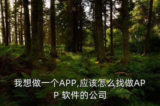 我想做一個APP,應(yīng)該怎么找做APP 軟件的公司