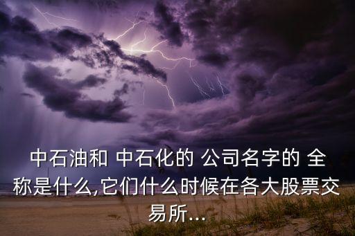 中石油和 中石化的 公司名字的 全稱是什么,它們什么時(shí)候在各大股票交易所...