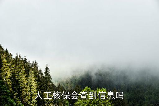 人工核保會(huì)查到信息嗎