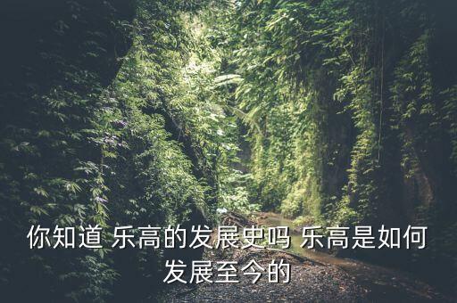 你知道 樂高的發(fā)展史嗎 樂高是如何發(fā)展至今的