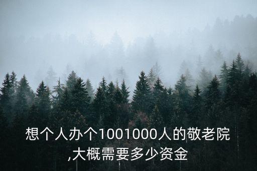 想個(gè)人辦個(gè)1001000人的敬老院,大概需要多少資金