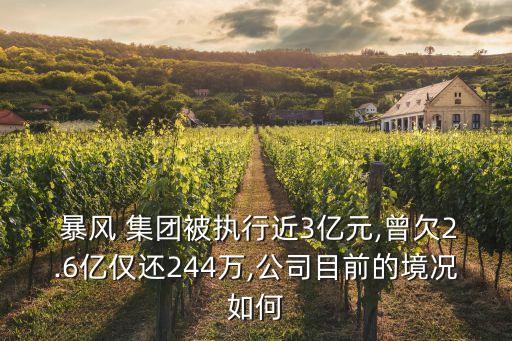  暴風 集團被執(zhí)行近3億元,曾欠2.6億僅還244萬,公司目前的境況如何