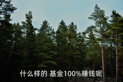 什么樣的 基金100%賺錢呢