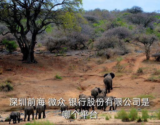 深圳前海 微眾 銀行股份有限公司是哪個(gè)平臺(tái)