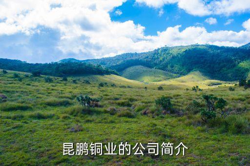 涼山礦業(yè)股份有限公司拉拉公司,四川涼山礦業(yè)股份有限公司