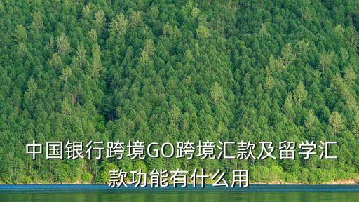  中國銀行跨境GO跨境匯款及留學匯款功能有什么用