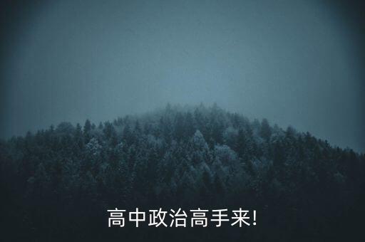 高中政治高手來(lái)!