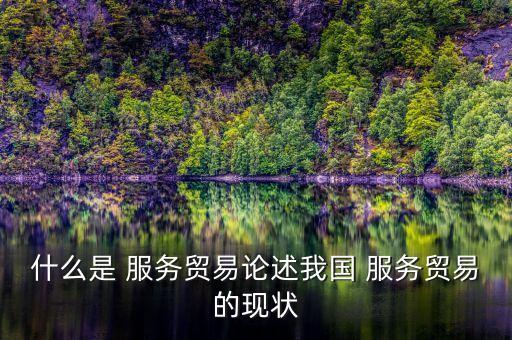 什么是 服務(wù)貿(mào)易論述我國 服務(wù)貿(mào)易的現(xiàn)狀