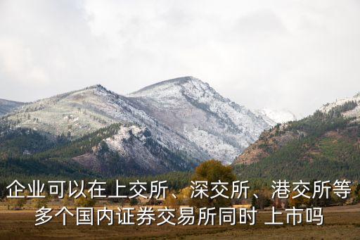 企業(yè)可以在上交所、深交所、港交所等多個(gè)國內(nèi)證券交易所同時(shí) 上市嗎