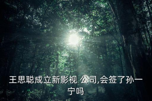 王思聰成立新影視 公司,會(huì)簽了孫一寧嗎