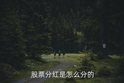 股票派發(fā)