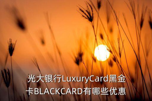  光大銀行LuxuryCard黑金卡BLACKCARD有哪些優(yōu)惠