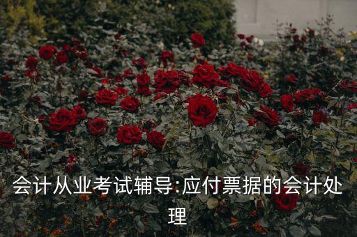 會(huì)計(jì)從業(yè)考試輔導(dǎo):應(yīng)付票據(jù)的會(huì)計(jì)處理