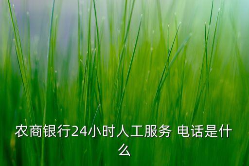 農商銀行24小時人工服務 電話是什么