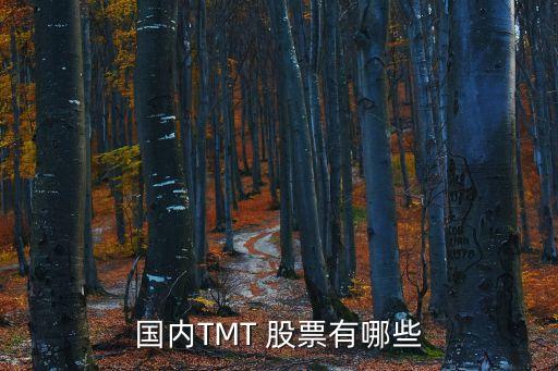 國(guó)內(nèi)TMT 股票有哪些