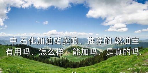 中 石化加油站賣的、推薦的 燃油寶有用嗎、怎么樣、能加嗎、是真的嗎...