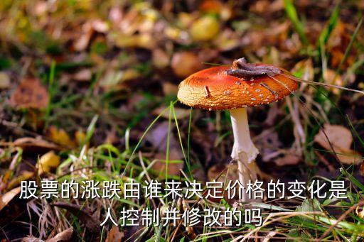  股票的漲跌由誰來決定價(jià)格的變化是人控制并修改的嗎