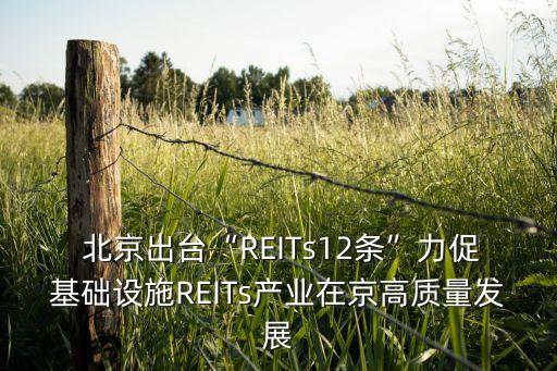  北京出臺(tái)“REITs12條”力促基礎(chǔ)設(shè)施REITs產(chǎn)業(yè)在京高質(zhì)量發(fā)展