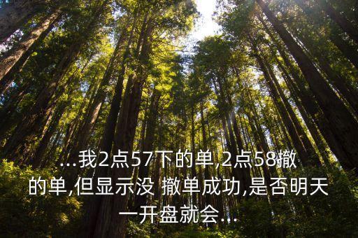 ...我2點57下的單,2點58撤的單,但顯示沒 撤單成功,是否明天一開盤就會...