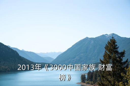 2013年《3000中國家族 財(cái)富榜》