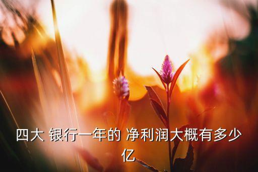 四大 銀行一年的 凈利潤(rùn)大概有多少億