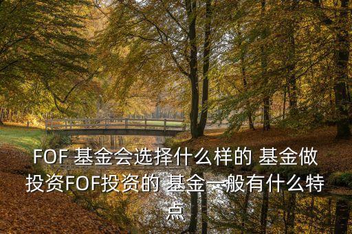 FOF 基金會選擇什么樣的 基金做投資FOF投資的 基金一般有什么特點