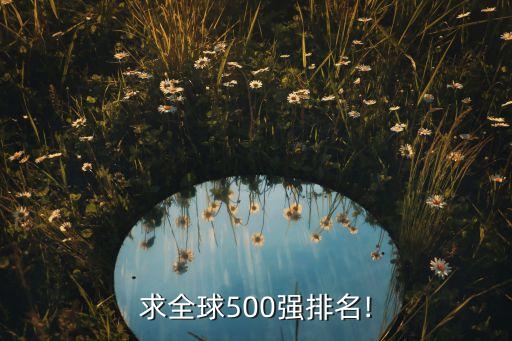 求全球500強排名!