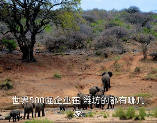 濰坊中財(cái)國(guó)際石油集團(tuán)有限公司