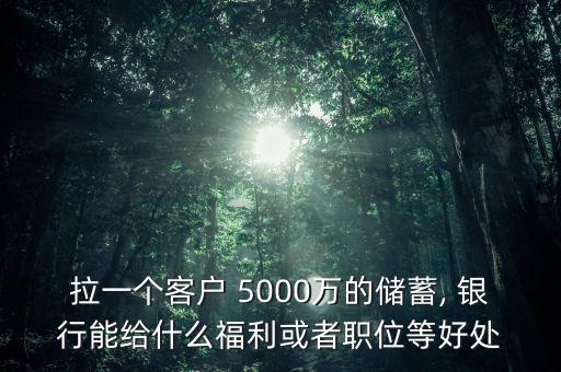 拉一個(gè)客戶 5000萬(wàn)的儲(chǔ)蓄, 銀行能給什么福利或者職位等好處